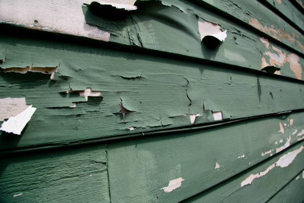 Best Retail Junk Removal  in Armona, CA