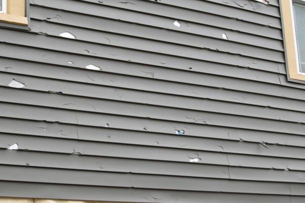 Trusted Armona, CA Junk Removal Experts